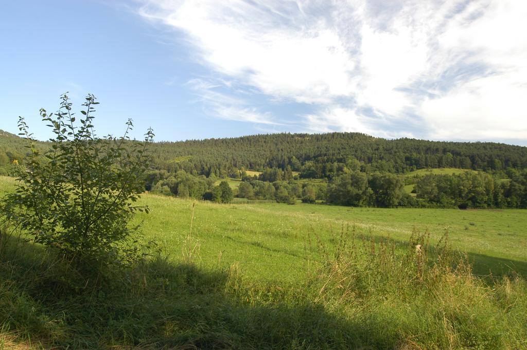 Ferienanlage Reinsberger Dorf Plaue  外观 照片